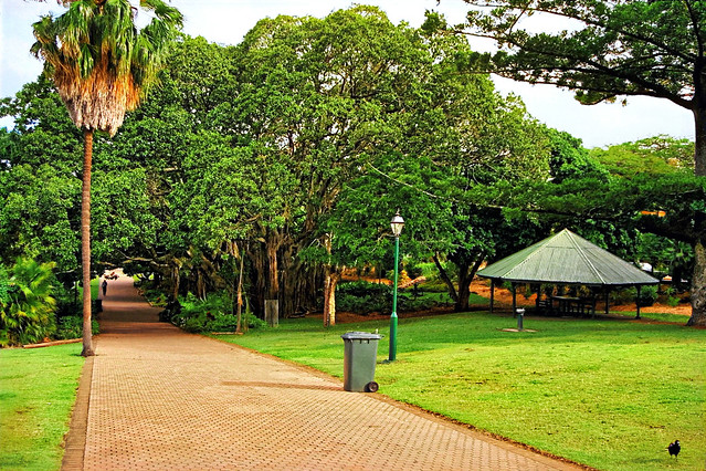 October 1995 - Brisbane City Botanic Gardens, Brisbane, Queensland, Australia