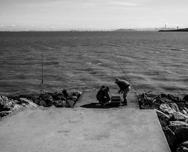 Two Men Fishing On The Bay