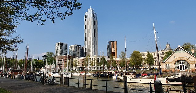 Zalmhaventoren Rotterdam