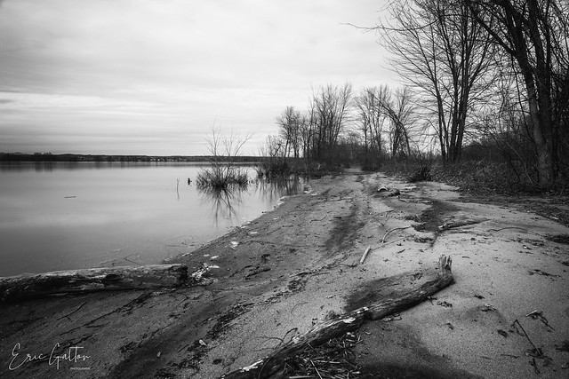 Black and White Landscape of Petrie Island