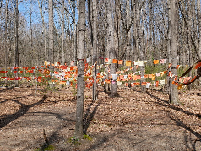 Prayer flags, Mill River trail, Northampton MA