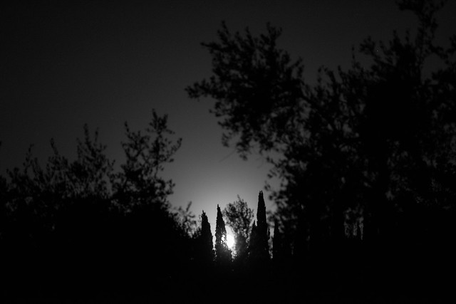 moon, night