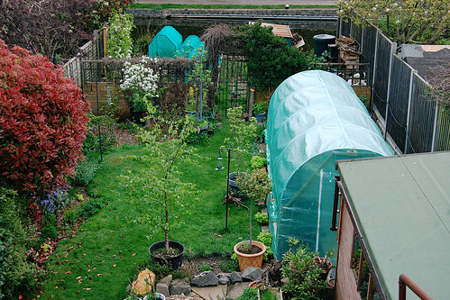Looking Down on the Back Garden - April 2022