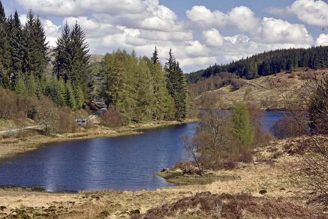 Loch Drunkie,seen from The Three Lochs Forest drive, near Aberfoyle,Scotland.