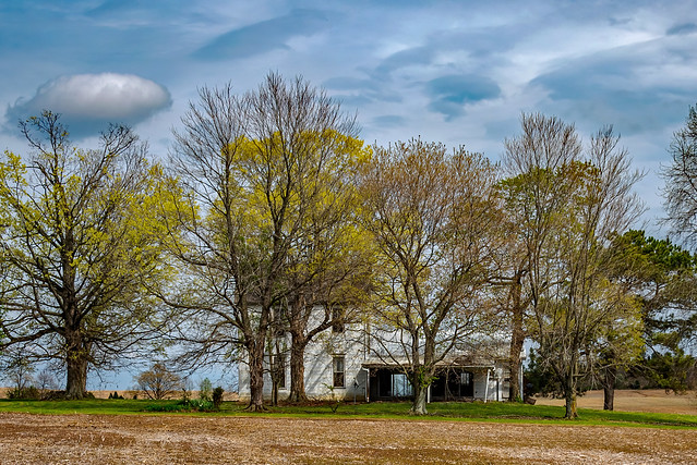 Ohio County Farmhouse.