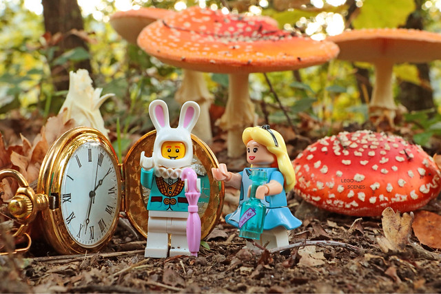 White Rabbit and Alice... Discovering the wonderland...