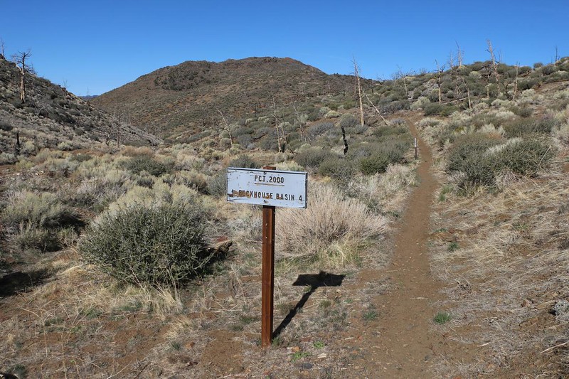The PCT crossed a gravel road and left the Domeland Wilderness, and entered the Chimney Peak Wilderness