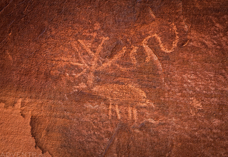 Little Elk Petroglyph