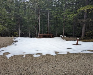 Wragge snowy campsite PXL_20220421_220658455