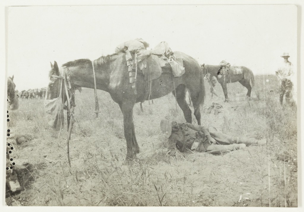 Tired man & horse, Beersheba, 2nd Brigade 191