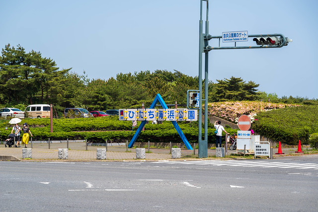 国営ひたち海浜公園2022-04-25