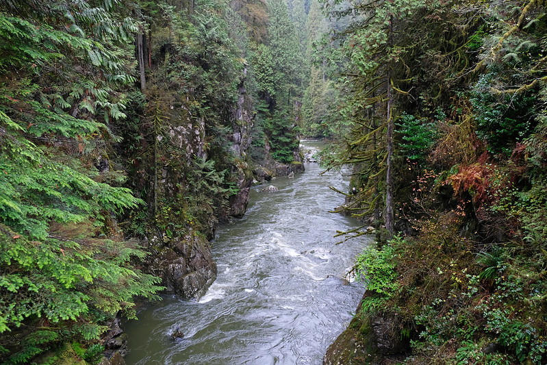 Capilano River Regional Park, North Vancouver, BC, Canada