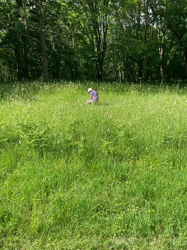 Mon, 04/25/2022 - 14:12 - Sofia Gripenberg conducting an herbivory survey in one of the grassland areas at Wytham.  Photo credit to Eleanor Jackson.