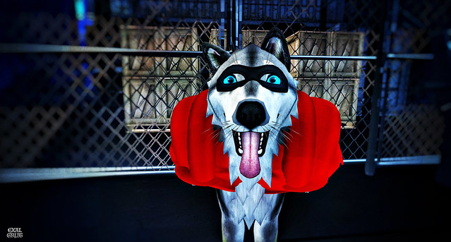 Super Dog - Beast - Portrait