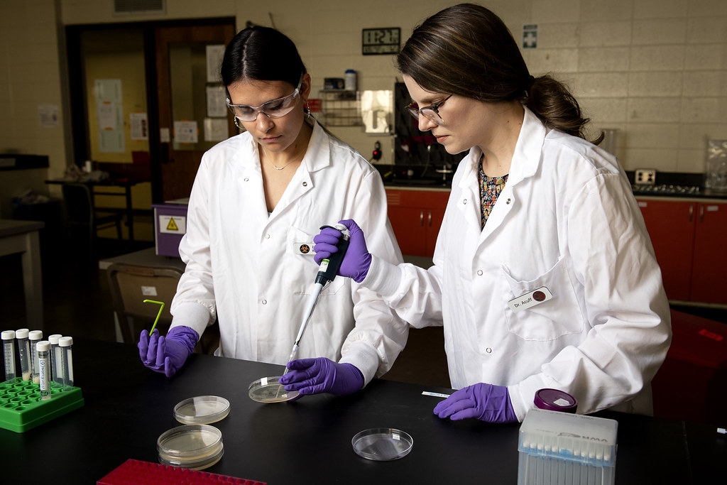 The Arkansas Agricultural Experiment Station has nearly 150 faculty members conducting research in 10 departments.