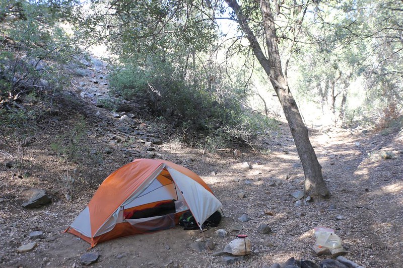 I set up my tent down under the sheltering trees next to Joshua Tree Spring after a long fifteen-mile hiking day - whew!