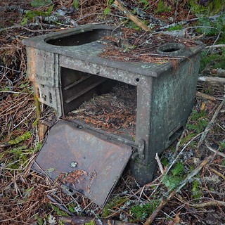 Stove in the woods SR601636