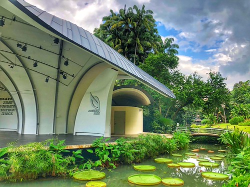 Singapore Botanic Gardens | by cattan2011