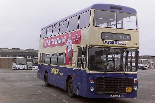TAYSIDE BUSES, DUNDEE 56 OSN856Y