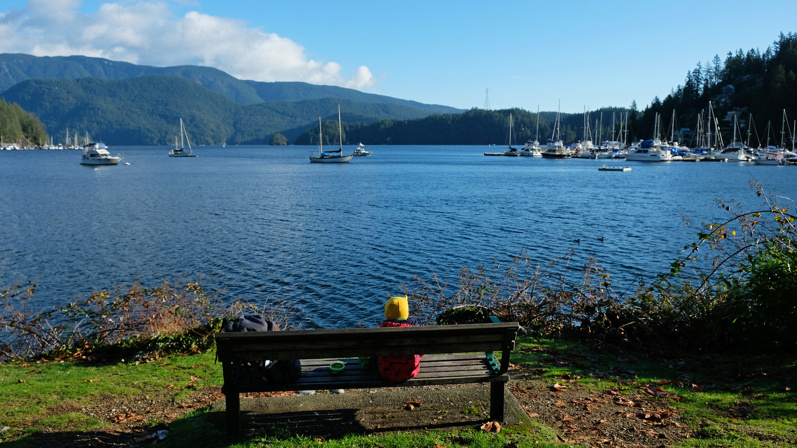 id-Friendly Parks In North Vancouver: Panorama Park, Deep Cove
