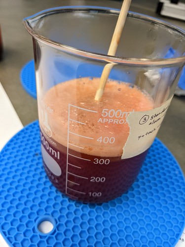 Beaker is full to 350ml with reddish liquid and some foam