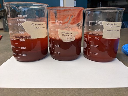 Three labeled beakers after foam has settled