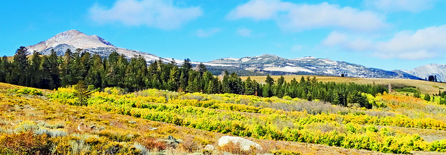 Autumn in Sierra Nevada Foothills 2019