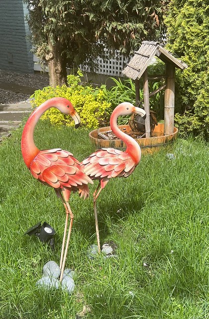 Tasteful Flamingoes