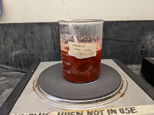 Beaker labeled Standard Alum Extrc 3 on the stovetop, still with madder bag inside and condensation along rim