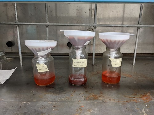 Three jars with funnels and filters, each containing reddish liquid