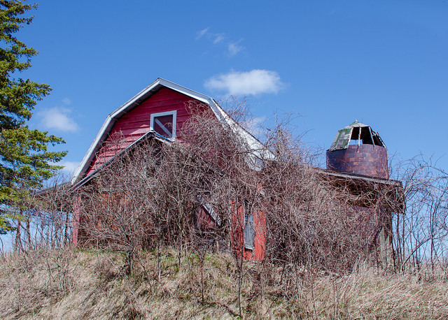 Apr 27 - 117/365 Overgrown Barn