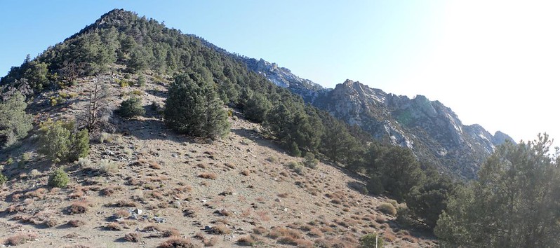 Panorama view of Owens Peak (8453 feet elevation) from the PCT at the saddle between Cow and Indian Wells Canyons