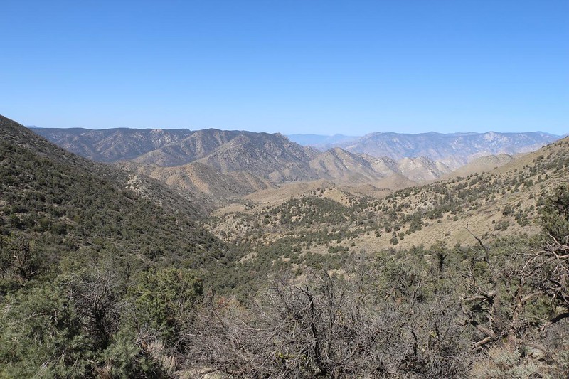 Looking west down into Three Pines Canyon from the PCT