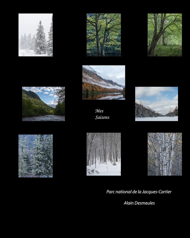 « Mes saisons : Parc national rivière Jacques-Cartier » - Livres photo - Alain Desmeules - Société des photographes artisans de Québec - 5e - 78,33