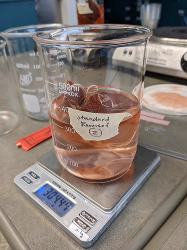 Madder bag soaking in beaker filled halfway with water and labeled Standard Reversed 2, beaker is on scale that reads 304.47g