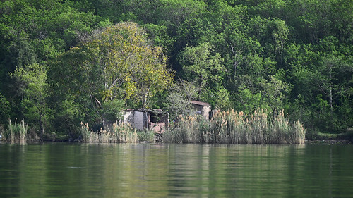 lake water green greenery outdoor park reflection forest landscape nikon nikkor z50