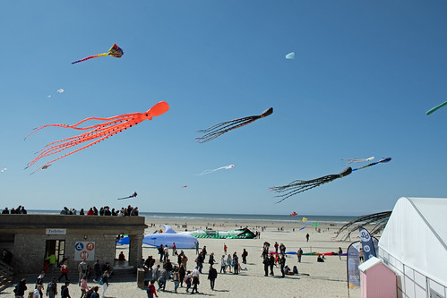 cerf volant berck 2022 | by oussama60