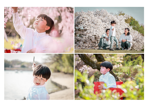出張カメラマンが撮るファミリーフォト　春の公園　満開の桜