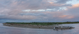 Sunset Werribee River mouth - seabirds