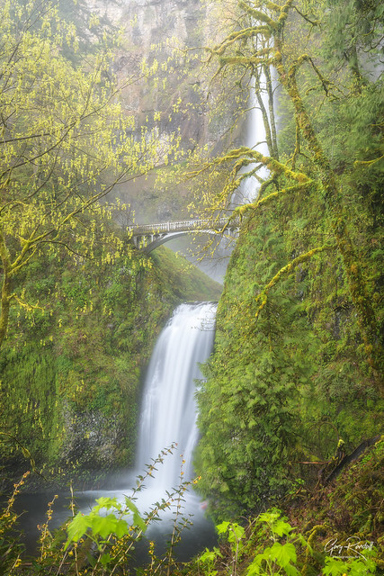 Multnomah Foggy Falls