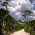 Clouds over the dirt road in Babcock Wildlife Management Area near Punta Gorda, Florida. Clouds over the dirt road in Babcock Wildlife Management Area near Punta Gorda, Florida Fred C. Babcock/Cecil M. Webb Wildlife Management Area is Florida&#039;s oldest Wildlife Management Area and protects 80,772 acres just south and east of Punta Gorda in Charlotte and Lee Counties, Florida..