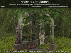 LOVE SOME PLACE RUINS