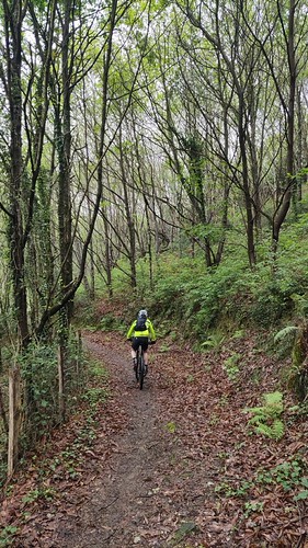 IMG_20220428_135638