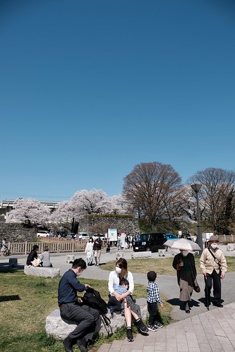 Sakura memories 2022 5