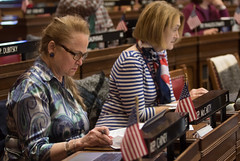 State Rep. Kathleen McCarty reads legislation during a session day in the House of Representatives.