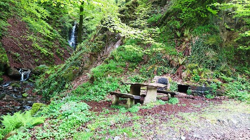 IMG_20220428_173109