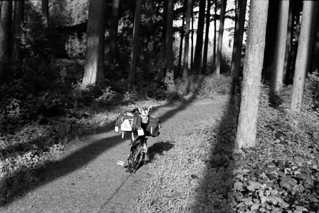A Brompton in the forest. SW Community Park, Gresham OR. 23 April 2022