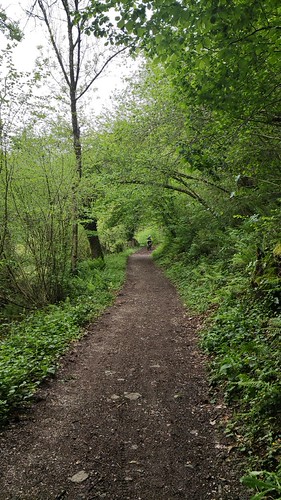 IMG_20220428_182133