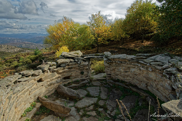 Santuario nuragico di Monte Nuxi (Esterzili) in versione autunnale