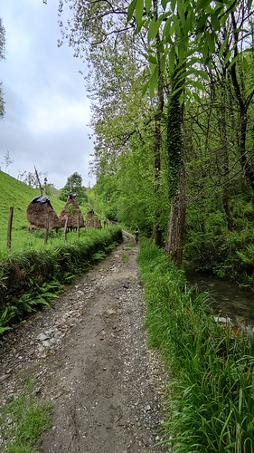 IMG_20220428_143841
